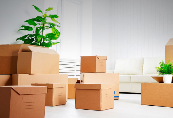 Packing and Moving