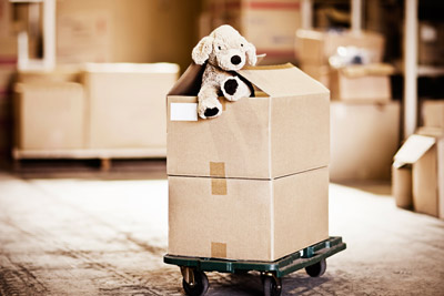 Shrimahadev Packers and Movers Books, Toys and Miscellaneous Items